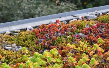 the cost of Wrexham green roof installation