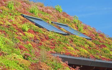 Wrexham living roof systems