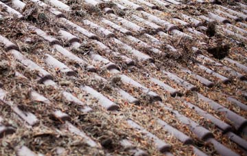 Wrexham roof cleaning companies