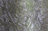 Wrexham fibreglass roof work